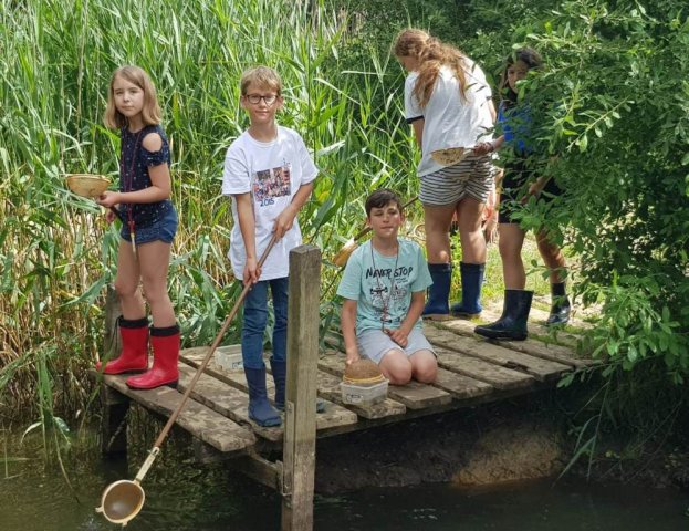 Abschlussgrillen der Klasse 4b im Biologiezentrum Bustedt